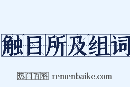 触目所及组词是什么意思的图片
